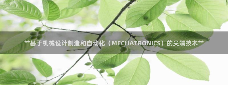 彩神ios下载：**基于机械设计制造和自动化（MECHATR
