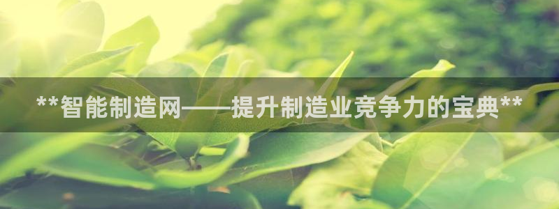 在彩神网输了六万多怎么拿回来：**智能制造网——提升制造业竞