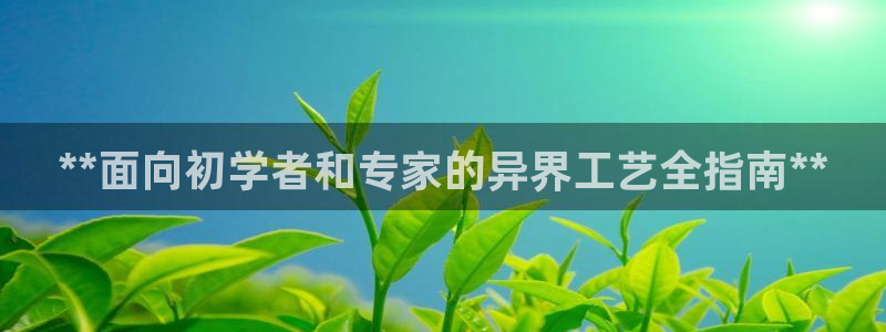 彩神ⅴll用户登录：**面向初学者和专家的异界工艺全指南**