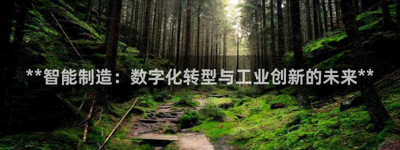 彩神v8首页：**智能制造：数字化转型与工业创新的未来**