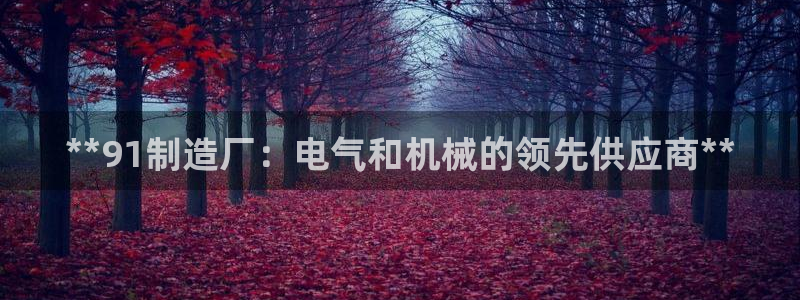 彩神ll能赚钱吗：**91制造厂：电气和机械的领先供应商**