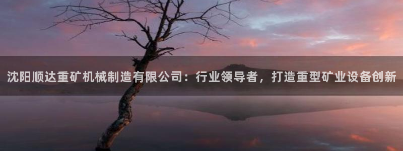 彩神vip购彩：沈阳顺达重矿机械制造有限公司：行业领导者，打造重型矿业设备创新