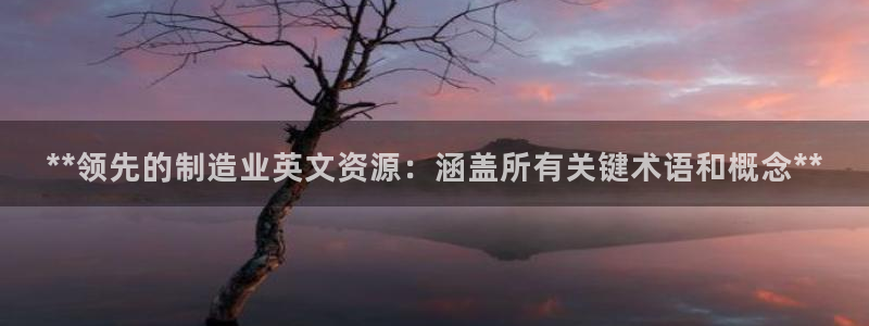 下载彩神v8：**领先的制造业英文资源：涵盖所有关键术语和概念**
