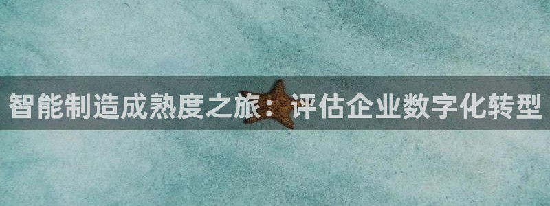 彩神是什么平台的游戏：智能制造成熟度之旅：评估企业数字化转型