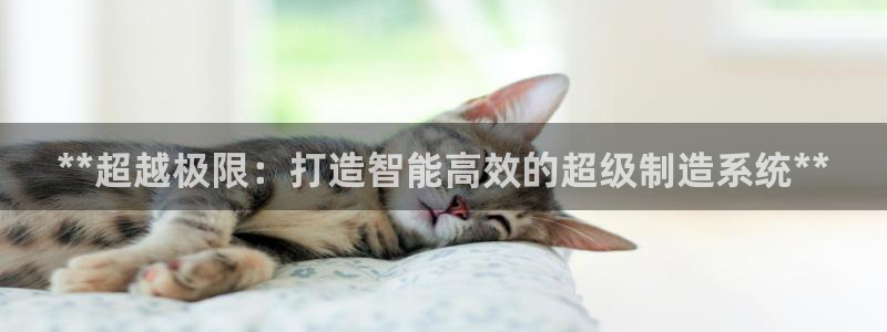 彩神盈利图片：**超越极限：打造智能高效的超级制造系统**