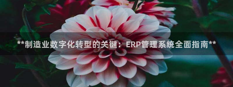 彩神争霸官方下载2017：**制造业数字化转型的关键：ERP
