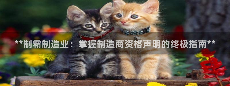 彩神到底能不能赚钱：**制霸制造业：掌握制造商资格声明的终极指南**
