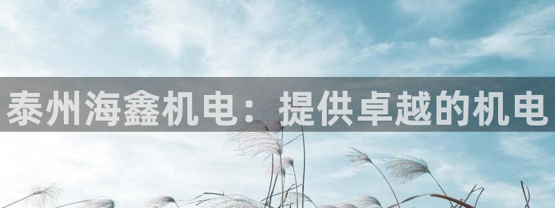 彩神v8手机客户端在哪：泰州海鑫机电：提供卓越的机电