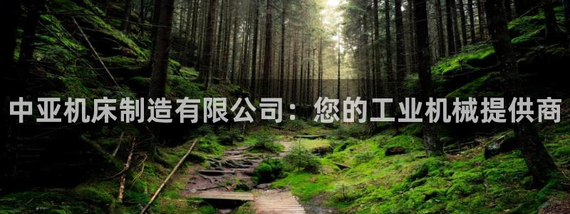 彩神V8平台：中亚机床制造有限公司：您的工业机械提供商
