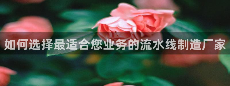 彩神v8有多久了?靠谱吗：如何选择最适合您业务的流水线制造厂家