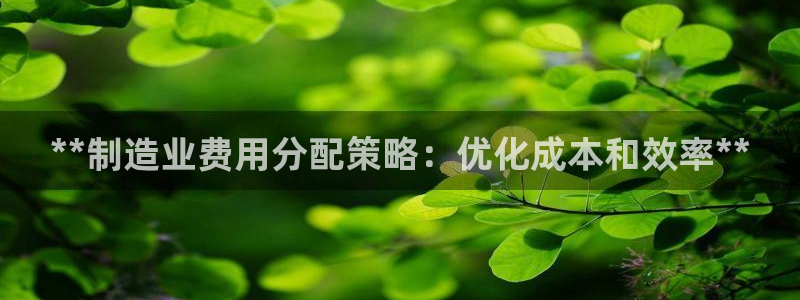 彩神争霸官方下载2017：**制造业费用分配策略：优化成本和效率**