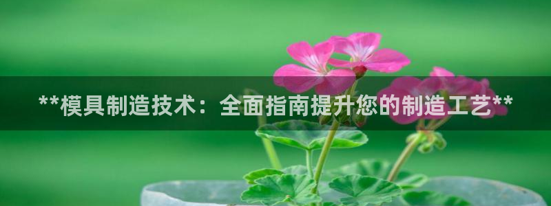 下载彩神v8：**模具制造技术：全面指南提升您的制造工艺**