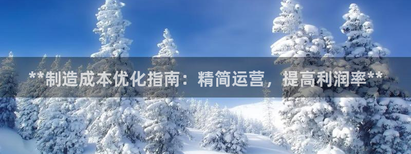 彩神v8手机客户端下载：**制造成本优化指南：精简运营，提高利润率**