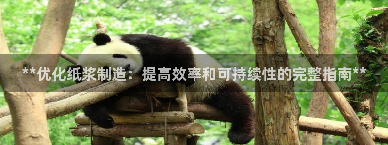 新版彩神v8登录不了：**优化纸浆制造：提高效率和可持续性的