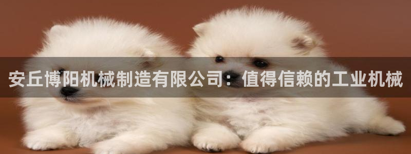 彩神v8手机客户端怎么下载：安丘博阳机械制造有限公司：值得信赖的工业机械
