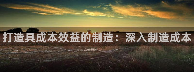 彩神v8几个版本：打造具成本效益的制造：深入制造成本