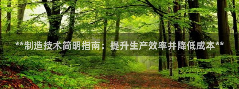 彩神v8是一个什么平台啊：**制造技术简明指南：提升生产效率