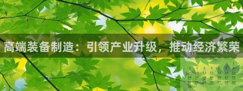 彩神通官方网：高端装备制造：引领产业升级，推动经济繁荣