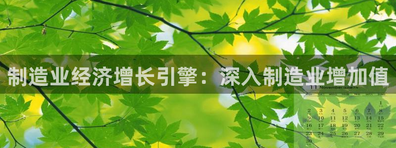 彩神v8下载网址：制造业经济增长引擎：深入制造业增加值