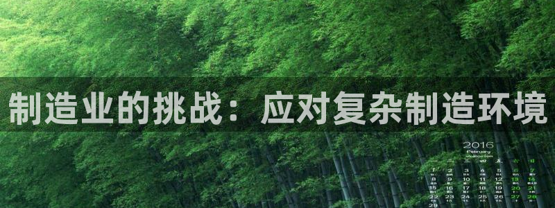 彩神大发云：制造业的挑战：应对复杂制造环境