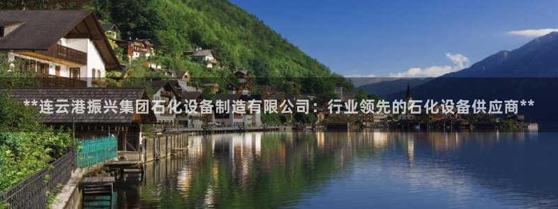 彩神购彩-购彩大厅入口娱乐首选：**连云港振兴集团石化设备制