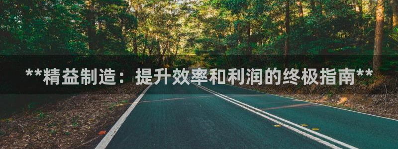 彩神平台之间是什么关系：**精益制造：提升效率和利润的终极指