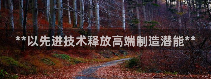 彩神v8手机客户端下载：**以先进技术释放高端制造潜能**