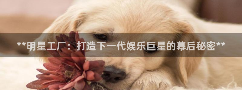 彩神官方登录：**明星工厂：打造下一代娱乐巨星的幕后秘密**
