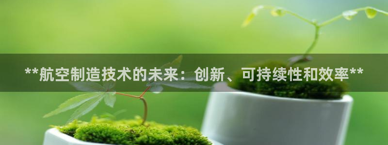 所有彩神购买首页中心：**航空制造技术的未来：创新、可持续性和效率**