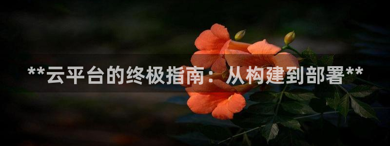 彩神V8平台