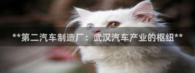 彩神v|