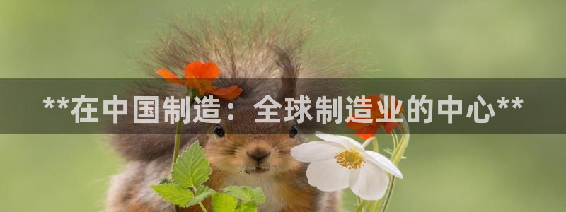 彩神iv是正规平台吗?：**在中国制造：全球制造业的中心**