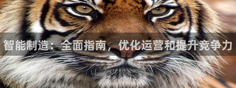 彩神v8iii：智能制造：全面指南，优化运营和提升竞争力