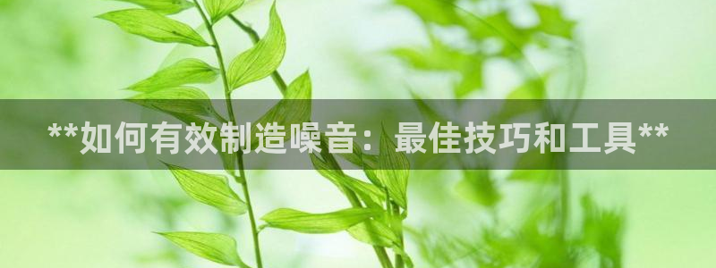 所有彩神购买首页都一样吗：**如何有效制造噪音：最佳技巧和工