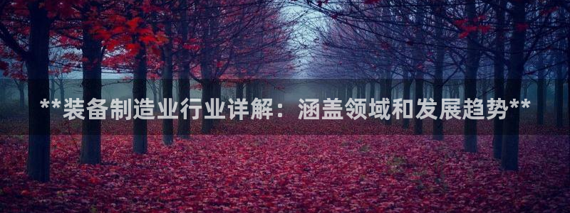 彩神vⅲ下载安装：**装备制造业行业详解：涵盖领域和发展趋势**