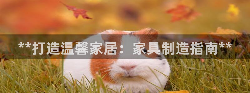 彩神v8有多久了?靠谱吗：**打造温馨家居：家具制造指南**