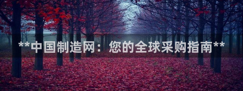 彩神官方网站登录是多少：**中国制造网：您的全球采购指南**