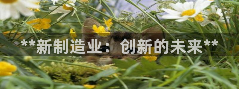 所有彩神购买首页中心：**新制造业：创新的未来**