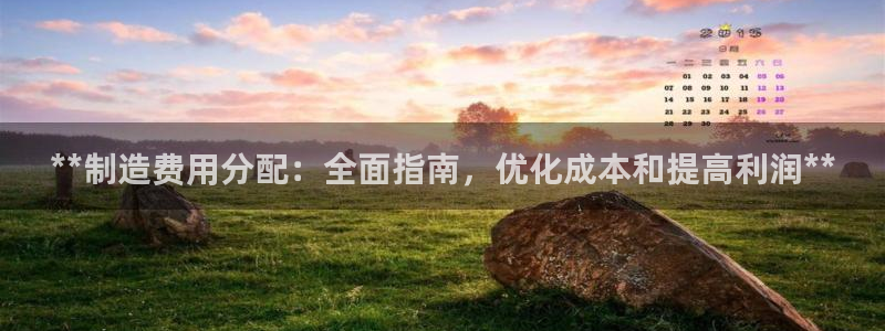彩神v秘聊号码：**制造费用分配：全面指南，优化成本和提高利润**