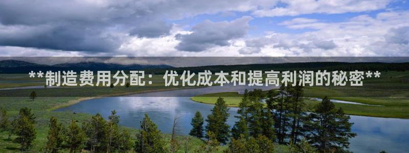 彩神v破解版：**制造费用分配：优化成本和提高利润的秘密**