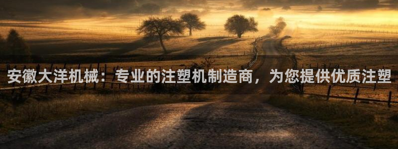 彩神v争霸有限公司：安徽大洋机械：专业的注塑机制造商，为您提供优质注塑