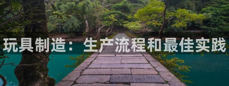 彩神赢的钱是哪里来的：玩具制造：生产流程和最佳实践