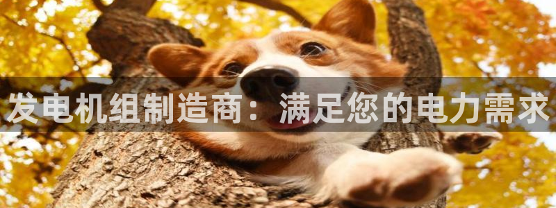 彩神ix能赚钱吗