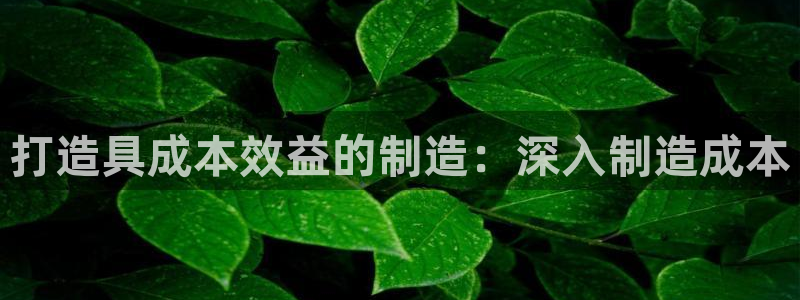 彩神赢钱了吗是真的吗：打造具成本效益的制造：深入制造成本