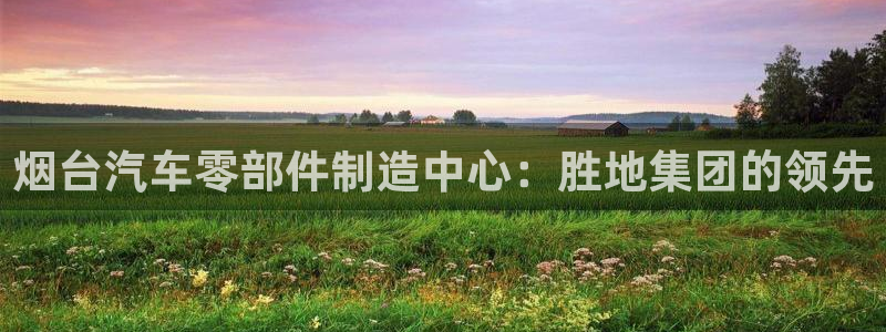 所有彩神购买首页中心：烟台汽车零部件制造中心：胜地集团的领先