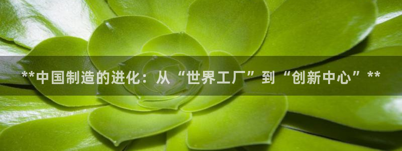 大发彩神官网下载