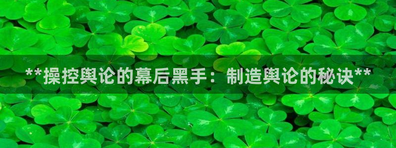 彩神ll能赚钱吗