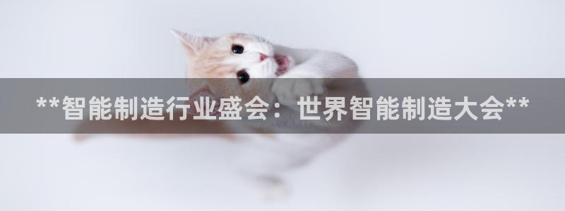 彩神v1破解器