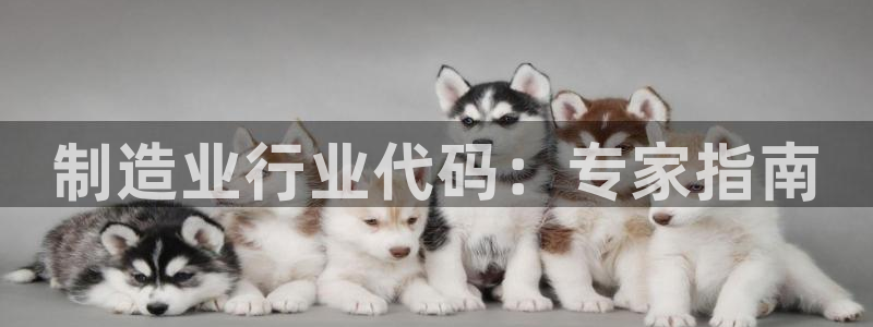 彩神vip购彩大厅