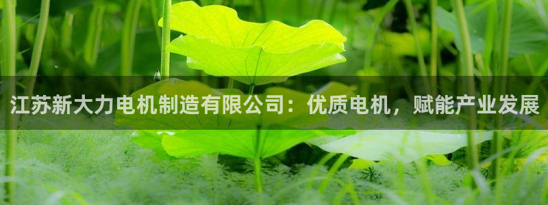 彩神怎么样可以提现